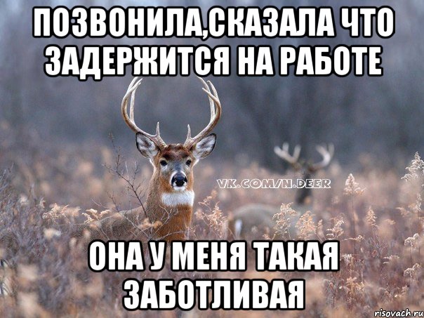 Позвонила,сказала что задержится на работе Она у меня такая заботливая, Мем   Наивный олень