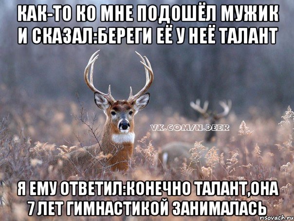 как-то ко мне подошёл мужик и сказал:береги её у неё талант я ему ответил:конечно талант,она 7 лет гимнастикой занималась, Мем   Наивный олень