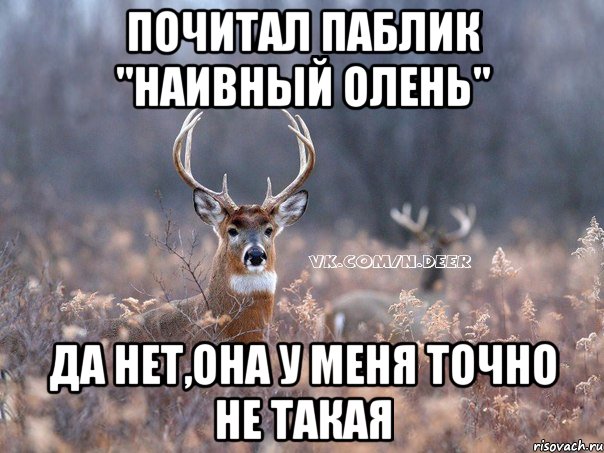 почитал паблик "наивный олень" да нет,она у меня точно не такая, Мем   Наивный олень