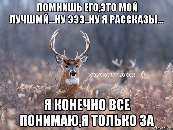 помнишь его,это мой лучшмй...ну эээ..ну я рассказы... я конечно все понимаю,я только за, Мем   Наивный олень