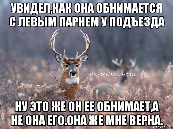 увидел,как она обнимается с левым парнем у подъезда ну это же он ее обнимает,а не она его.она же мне верна., Мем   Наивный олень