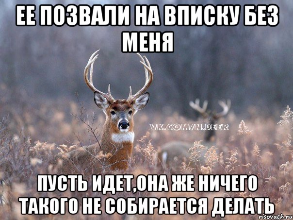 ее позвали на вписку без меня пусть идет,она же ничего такого не собирается делать, Мем   Наивный олень