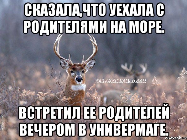 сказала,что уехала с родителями на море. встретил ее родителей вечером в универмаге., Мем   Наивный олень