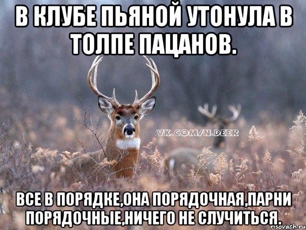 в клубе пьяной утонула в толпе пацанов. все в порядке,она порядочная,парни порядочные,ничего не случиться., Мем   Наивный олень