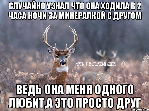 случайно узнал что она ходила в 2 часа ночи за минералкой с другом ведь она меня одного любит,а это просто друг, Мем   Наивный олень