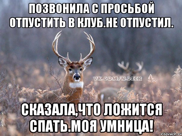 позвонила с просьбой отпустить в клуб.не отпустил. сказала,что ложится спать.моя умница!, Мем   Наивный олень