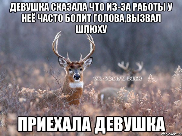 девушка сказала что из-за работы у неё часто болит голова,вызвал шлюху Приехала девушка, Мем   Наивный олень