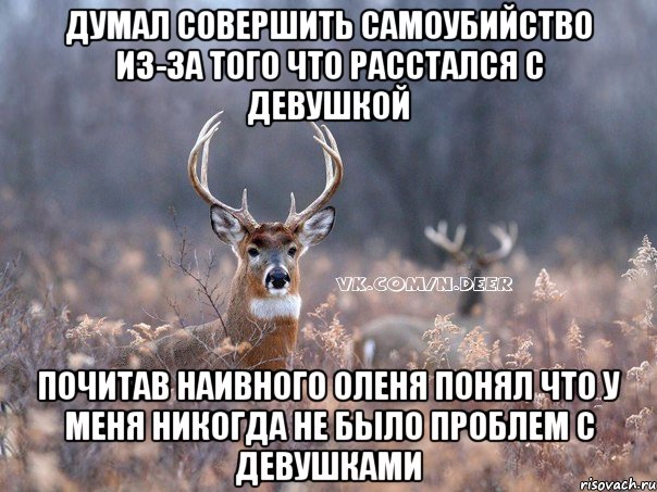 думал совершить самоубийство из-за того что расстался с девушкой почитав наивного оленя понял что у меня никогда не было проблем с девушками, Мем   Наивный олень