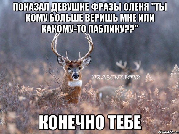 показал девушке фразы оленя "ты кому больше веришь мне или какому-то паблику??" конечно тебе, Мем   Наивный олень