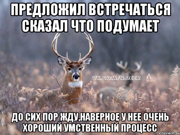 предложил встречаться сказал что подумает до сих пор жду,наверное у нее очень хороший умственный процесс, Мем   Наивный олень