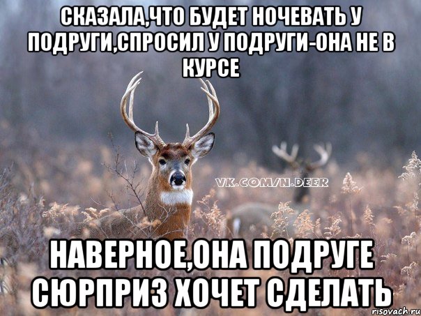 сказала,что будет ночевать у подруги,спросил у подруги-она не в курсе наверное,она подруге сюрприз хочет сделать, Мем   Наивный олень