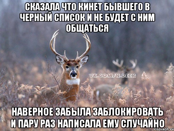 Сказала что кинет бывшего в черный список и не будет с ним общаться наверное забыла заблокировать и пару раз написала ему случайно, Мем   Наивный олень