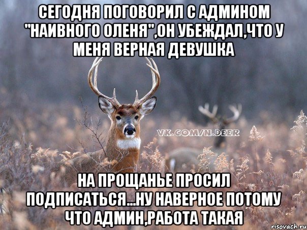 Сегодня поговорил с админом "наивного оленя",он убеждал,что у меня верная девушка на прощанье просил подписаться...ну наверное потому что админ,работа такая, Мем   Наивный олень