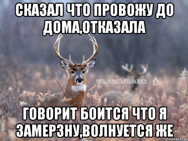 сказал что провожу до дома,отказала говорит боится что я замерзну,волнуется же, Мем   Наивный олень