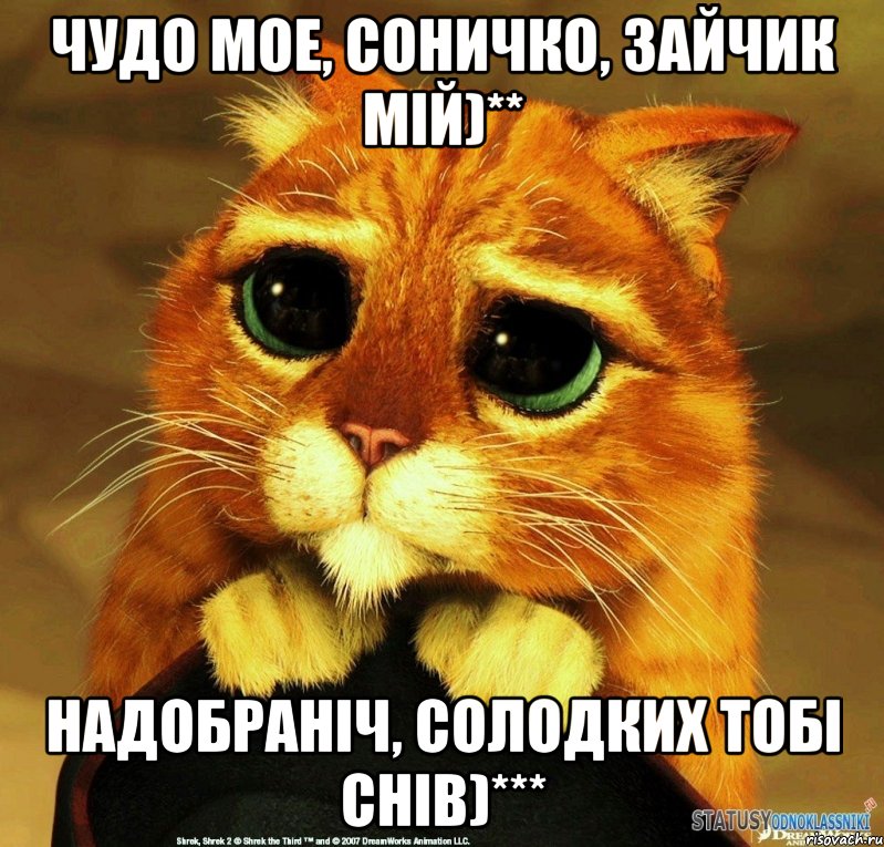 чудо мое, соничко, зайчик мій)** надобраніч, солодких тобі снів)***, Мем Котик из Шрека