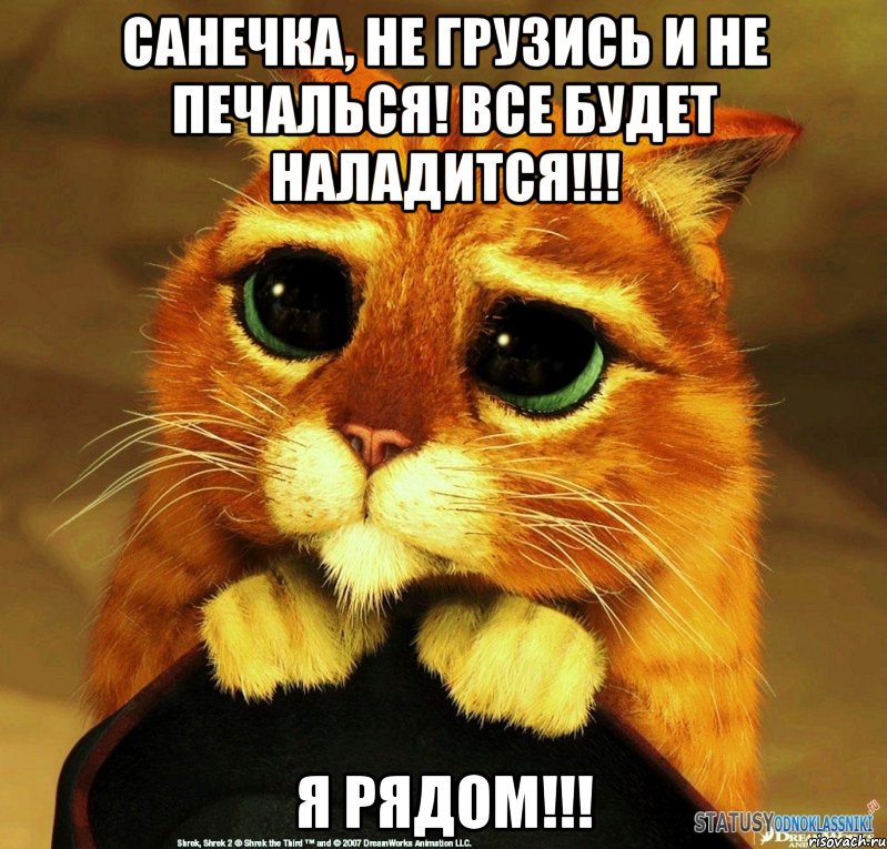 Санечка, не грузись и не печалься! Все будет наладится!!! Я рядом!!!, Мем Котик из Шрека