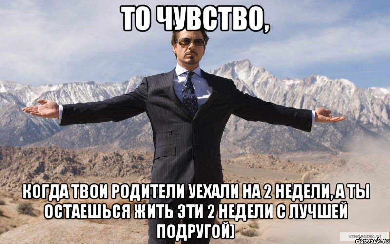 То чувство, когда твои родители уехали на 2 недели, а ты остаешься жить эти 2 недели с лучшей подругой), Мем железный человек