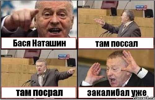 Бася Наташин там поссал там посрал закалибал уже, Комикс жиреновский