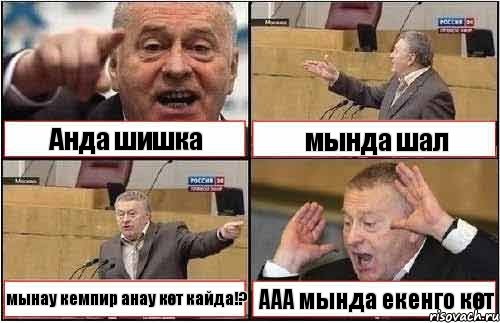 Анда шишка мында шал мынау кемпир анау көт кайда!? ААА мында екенго көт, Комикс жиреновский