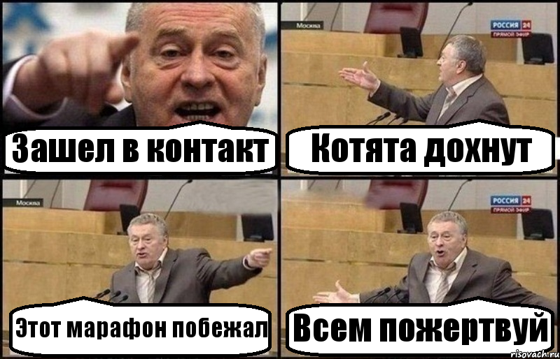 Зашел в контакт Котята дохнут Этот марафон побежал Всем пожертвуй, Комикс Жириновский