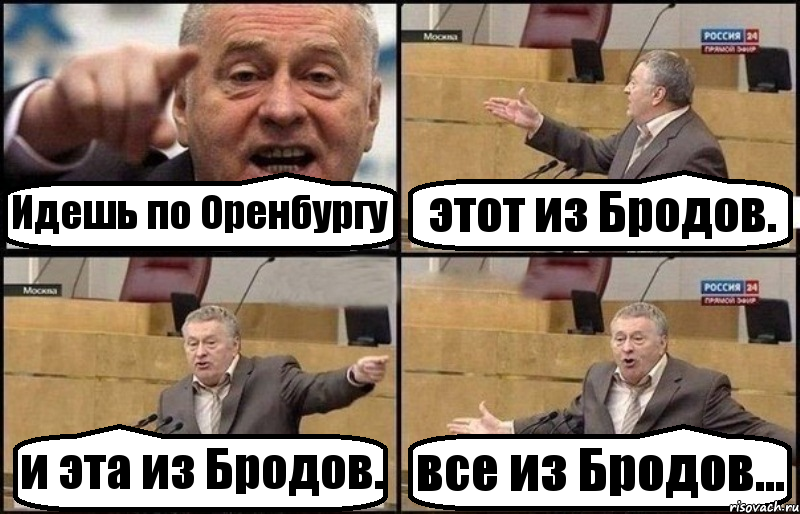 Идешь по Оренбургу этот из Бродов. и эта из Бродов. все из Бродов..., Комикс Жириновский