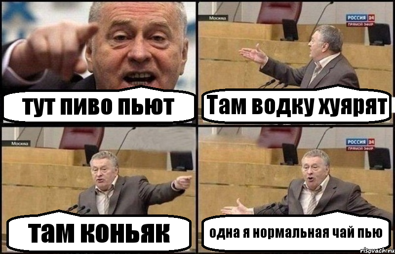 тут пиво пьют Там водку хуярят там коньяк одна я нормальная чай пью, Комикс Жириновский