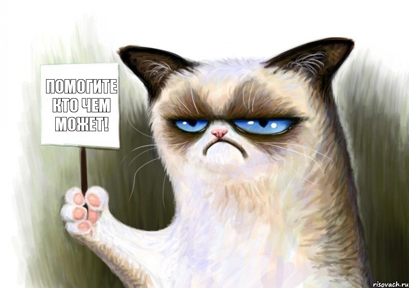 Помогите кто чем может!, Комикс Сварливый кот с табличкой