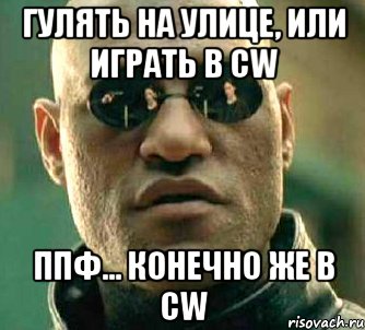 Гулять на улице, или играть в CW Ппф... Конечно же в CW, Мем  а что если я скажу тебе