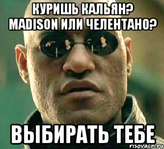 Куришь кальян? Madison или Челентано? выбирать тебе, Мем  а что если я скажу тебе