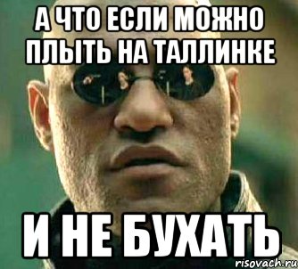 а что если можно плыть на таллинке и не бухать, Мем  а что если я скажу тебе