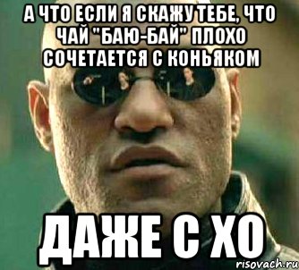 а что если я скажу тебе, что чай "баю-бай" плохо сочетается с коньяком даже с ХО, Мем  а что если я скажу тебе