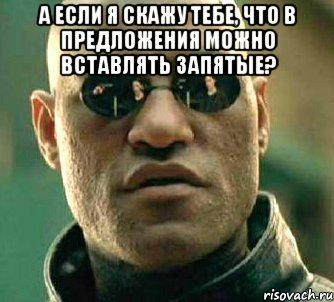 А если я скажу тебе, что в предложения можно вставлять запятые? , Мем  а что если я скажу тебе