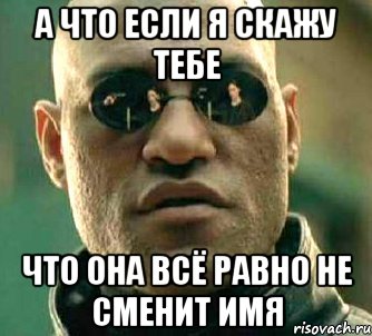 А ЧТО ЕСЛИ Я СКАЖУ ТЕБЕ ЧТО ОНА ВСЁ РАВНО НЕ СМЕНИТ ИМЯ, Мем  а что если я скажу тебе