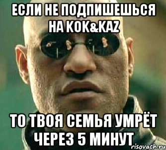 если не подпишешься на kok&kaz ТО ТВОЯ СЕМЬЯ УМРЁТ ЧЕРЕЗ 5 МИНУТ, Мем  а что если я скажу тебе