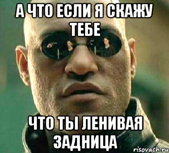 а что если я скажу тебе что ты ленивая задница, Мем  а что если я скажу тебе