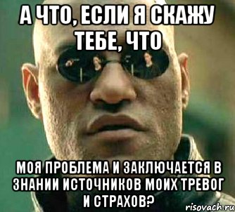 А ЧТО, ЕСЛИ Я СКАЖУ ТЕБЕ, ЧТО МОЯ ПРОБЛЕМА И ЗАКЛЮЧАЕТСЯ В ЗНАНИИ ИСТОЧНИКОВ МОИХ ТРЕВОГ И СТРАХОВ?, Мем  а что если я скажу тебе