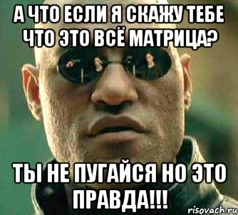 а что если я скажу тебе что это всё матрица? ты не пугайся но это правда!!!, Мем  а что если я скажу тебе