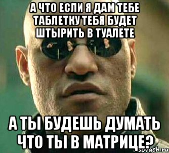 А ЧТО ЕСЛИ Я ДАМ ТЕБЕ ТАБЛЕТКУ ТЕБЯ БУДЕТ ШТЫРИТЬ В ТУАЛЕТЕ А ТЫ БУДЕШЬ ДУМАТЬ ЧТО ТЫ В МАТРИЦЕ?, Мем  а что если я скажу тебе