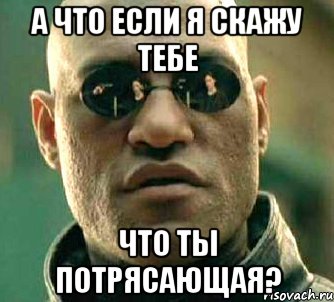 А ЧТО ЕСЛИ Я СКАЖУ ТЕБЕ ЧТО ТЫ ПОТРЯСАЮЩАЯ?, Мем  а что если я скажу тебе