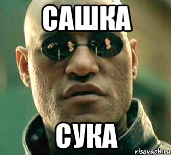 САШКА СУКА, Мем  а что если я скажу тебе