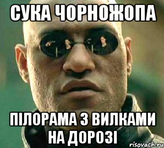 сука чорножопа пілорама з вилками на дорозі, Мем  а что если я скажу тебе