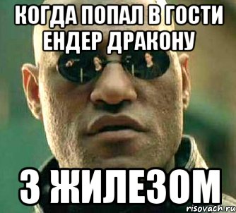 когда попал в гости ендер дракону з жилезом, Мем  а что если я скажу тебе