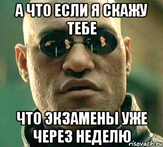 А что если я скажу тебе Что экзамены уже через неделю, Мем  а что если я скажу тебе