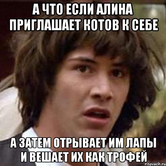 А что если Алина приглашает котов к себе а затем отрывает им лапы и вешает их как трофей, Мем А что если (Киану Ривз)