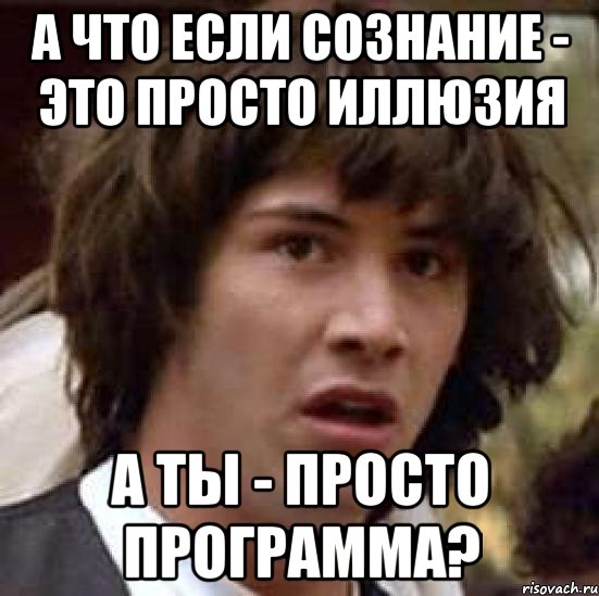 А ЧТО ЕСЛИ СОЗНАНИЕ - ЭТО ПРОСТО ИЛЛЮЗИЯ А ТЫ - ПРОСТО ПРОГРАММА?, Мем А что если (Киану Ривз)