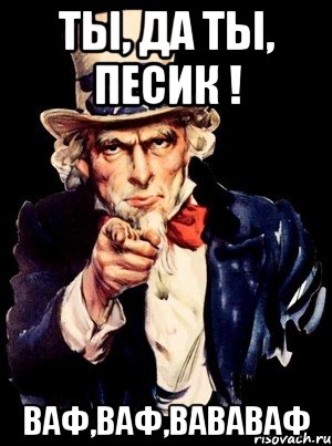 ты, да ты, песик ! ваф,ваф,вававаф, Мем а ты