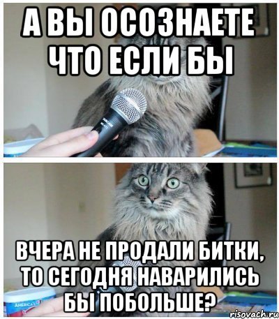 А вы осознаете что если бы вчера не продали битки, то сегодня наварились бы побольше?, Комикс  кот с микрофоном