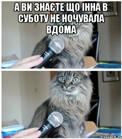 А ви знаєте що Інна в суботу не ночувала вдома , Комикс  кот с микрофоном