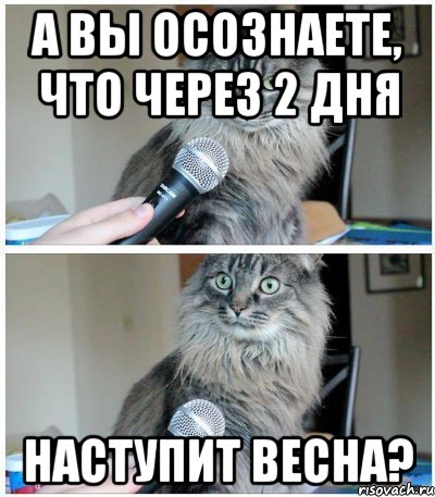 а вы осознаете, что через 2 дня наступит весна?, Комикс  кот с микрофоном