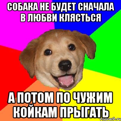 СОБАКА НЕ БУДЕТ СНАЧАЛА В ЛЮБВИ КЛЯСТЬСЯ А ПОТОМ ПО ЧУЖИМ КОЙКАМ ПРЫГАТЬ, Мем Advice Dog